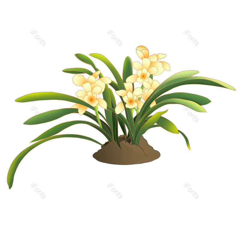 花卉图片,手绘花卉元素,热带植物PNG,免抠素材